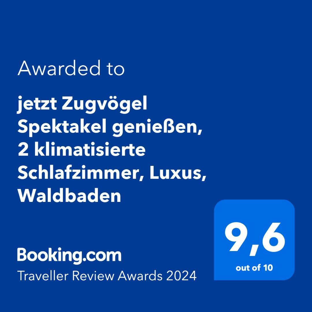 5 Sterne Bahnhoftraum, Appartement "Waldliebe" 133Qm, Grosse Terrasse 70Qm, Qr Code Scannen Fuer Virtuellen Rundgang, Premium Ausstattung Braunfels Exteriör bild