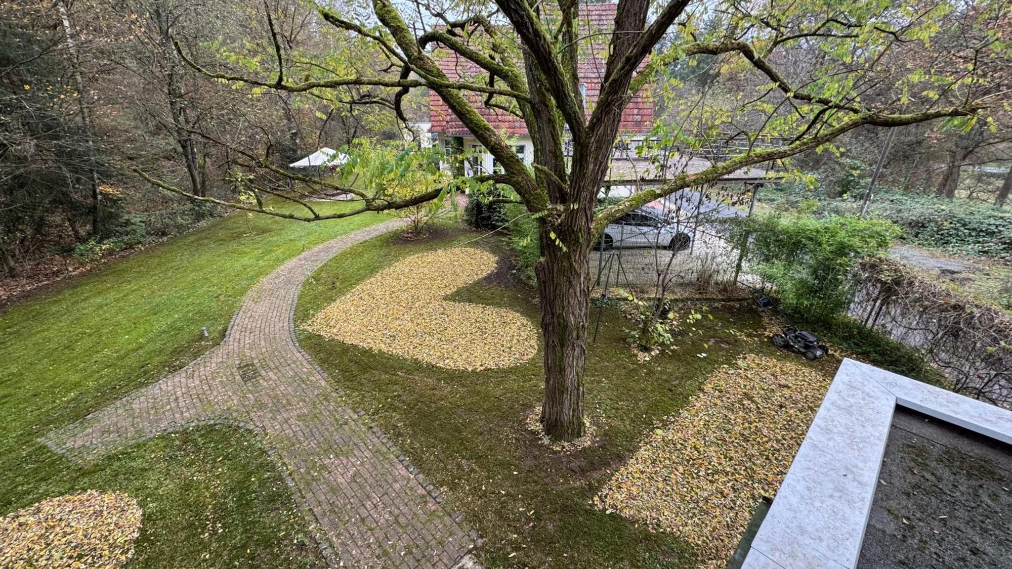 5 Sterne Bahnhoftraum, Appartement "Waldliebe" 133Qm, Grosse Terrasse 70Qm, Qr Code Scannen Fuer Virtuellen Rundgang, Premium Ausstattung Braunfels Exteriör bild
